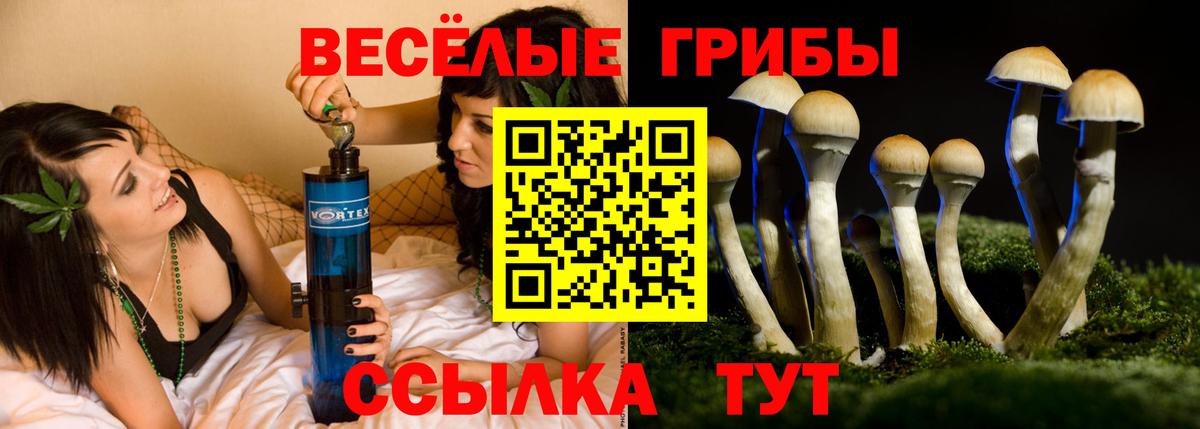Галлюциногенные грибы прущие грибы Крымск
